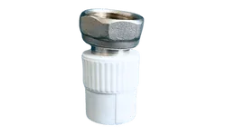 PPR Nipple with Union Nut