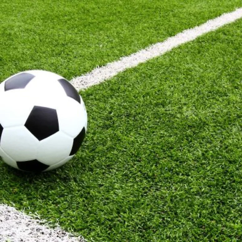 Synthetic Grass Turf